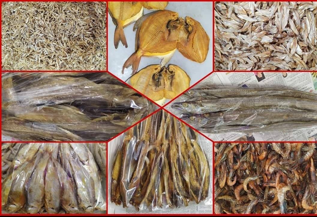 coxsbazer best sutki fish